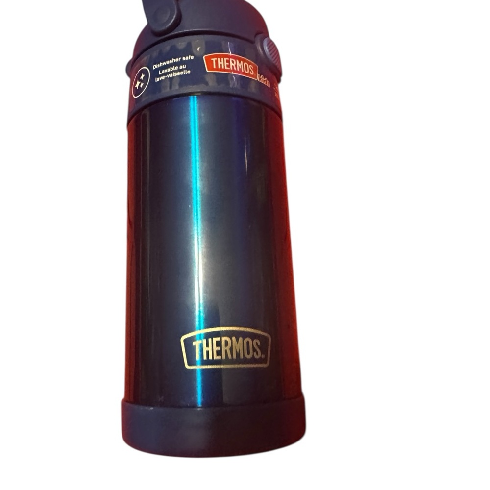 THERMOS FUNTAINER 12 Ounce Stainless Steel Vacuum Insulated Kids Straw Bottle